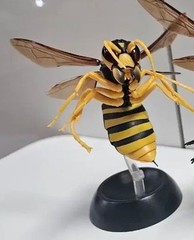 The Diversity of Life on Earth Wasp Hornet 01 Figure w/ Stand Bandai Capsule Toy