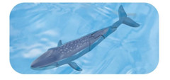 Takara Tomy ANIA Blue Whale AL-23 Floating Animal Figure 2024