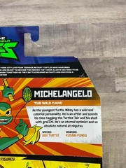 Rise Of The Teenage Mutant Ninja Turtles Michelangelo Wild Card Figure B1