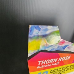 Jakks Netflix Sonic Prime THORN ROSE BOSCAGE MAZE 5″ Action Figure – NEW!
