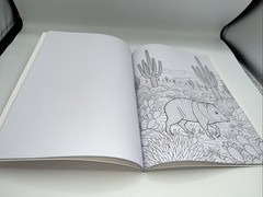 ARTMAKER Scenic Route Coloring Book
