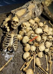 1/6 Scale Human Beings Skeleton Resin Model for 12″ Action Figure Accessory Toys