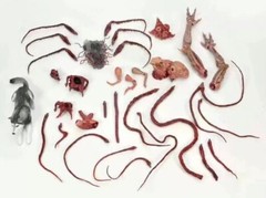 NECA 04905 The Thing Mutation Dog Accessories Package In Stock