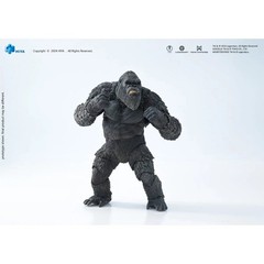Kong Godzilla v. Kong The New Empire Hiya Toys Exquisite Basic Action Figure