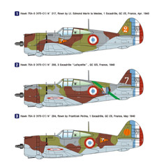 1/48 Curtiss Hawk H75-C1 WW2 French AF Fighter Aircraft Model WP14815 Wolfpack