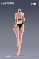 ANT N306 1:12 Female Seamless Body Pale Large Bust Plump Hip 6″ Action Figure