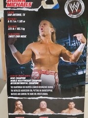 Mattel WWE Ruthless Aggression Shawn Michaels 6” Wrestler Action Figure New