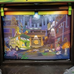 Legends Of Akedo Teenage Mutant Ninja Turtles Battle Arena Leonardo Donatello