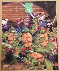 Vintage 1989 TMNT Teenage Mutant Ninja Turtles The Movie Poster Original 16×20