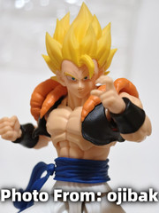 TONSENARTTOYS Kamione -02A Muay Thai Rightes Gogeta 1/12 Action Figure IN STOCK