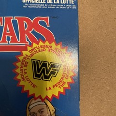 WWF LJN wrestling superstars Bobby “the brain” Heenan wrestling figure W/Poster