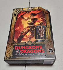 Dungeons and Dragons HONOR AMONG THIEVES HOLGA