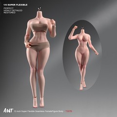 ANT T307 1/6th Female Fitness Model Action Figure Body 12in Muscle Bust Soldier