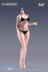 US ANT 1:12 Pale Large Bust Plump Hip 6″ Seamless Female Action Figure Body Toys