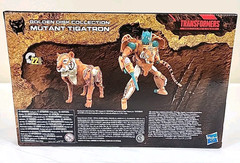 Transformers Kingdom War for Cybertron Trilogy Golden Disk Mutant Tigatron 8+