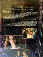 Sideshow Buffy the Vampire Slayer Vampire Willow 12″ Figure NIB 2004
