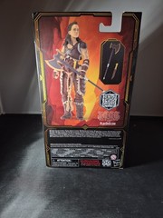 Hasbro Golden Archive Dungeons & Dragons – Holga Action Figure