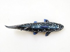 Coelacanth Soft Model (FF-001) 18.5×5.6×10.5cm toy figure fish Favorite Japanese