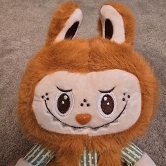 Pop Mart POPLAND Labubu “The Monsters” Pumpkin Orange Plush