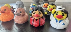 12 NEW Animolds Quack Pack Lot Rubber Ducks Texas Jackson Tempura Quackson