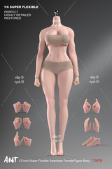 1/6 T307 Suntan Female Makeup Seamless Body Large Bust Muscular For 12″ Figure