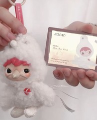 More Than Words(hidden)- Dear Birds Series Plush Pendant Blind Box Figure Toy