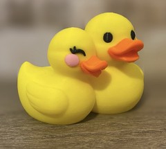 Couples Duck Boyfriend Girlfriend – Jeep Ducking Gift – Cruises – Collectible