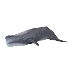 MOJO Sperm Whale Realistic International Wildlife Hand Painted Toy Figurine