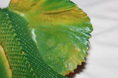 Vintage 1984 Imperial Dragon Frilled Lizard Figure Green Yellow Red Plastic 8”