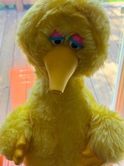 Talking Big Bird Vintage 1986 Story Magic Ideal Sesame Street – Works!