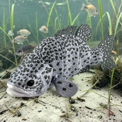 3D Printed Articulated Crappie (Silver with Green Markings)