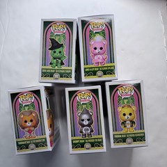 Funko Pop! Movies Care Bears x Wicked Set of 5 (In Hand!!)