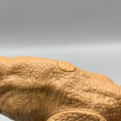 Jurassic World Dinosaur Toys Set Of 2 – Velociraptor Echo & T Rex Action Figures