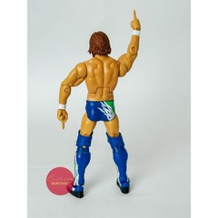 WWE Daniel Bryan Elite Collection Summer Slam Action Figure