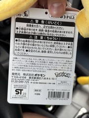 Official Genuine Pokemon Center Japan Running Pikachu Plush Toy 2018 New Small