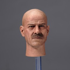 1/6 Bryan Cranston Heisenberg Teacher Male Head Sculpt Model 12in Action Figures