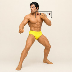 Custom Uncensored PHICEN 1/6 Heroic Warrior Muscular Male Seamless Figure Set