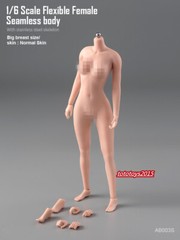 US STOCK 1:6 Flexible Seamless Normal Skin Large Bust Breast Female Figure Body