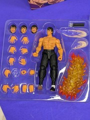 Fei Long I Street Fighter II: The Final Fighters I Storm Collectibles