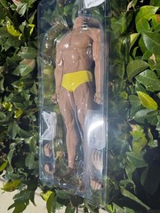 TBLeague Phicen 1/6th Scale Super Flexible Male Seamless Body-M35 new Version