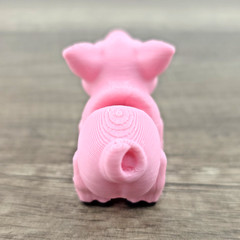 Pig Hatchling 3D Printed Articulated Flexi Fidget Desk Pet Toy 1.75″