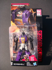 2015 OPENED 100% COMPLETE TRANSFORMERS COMBINER WARS SKY REIGN + 4 LEGENDS
