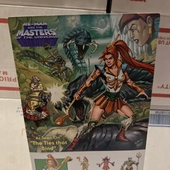 MOTU Mattel Masters Of The Universe Cartoon Collection Teela Figure SEALED (M1)