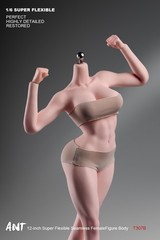 ANT T307 1/6th Female Fitness Model Action Figure Body 12in Muscle Bust Soldier