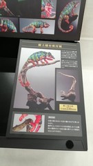 Bandai Panther Chameleon Creature Encyclopedia Premium Reptile Model Figure