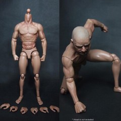 1/6 Scale ZC toy Male Man Boy Body Figure Military Chest Muscular 12″ Soldiers