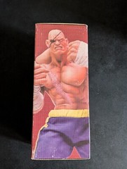 2005 Sota Toys Street Fighter Evil Ryu Rotocast action figure sealed NIB