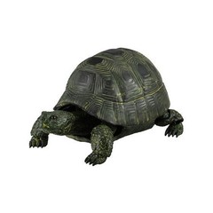 The Diversity of Life on Earth Turtle 01, 02 & 05 Figure Bandai Capsule Toy