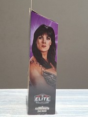 2026 WWE Summer Slam Elite – Chyna