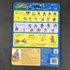 WINGNUT & SCREWLOOSE VINTAGE TMNT NINJA TURTLES FIGURE PLAYMATES 1990 CARDBACK